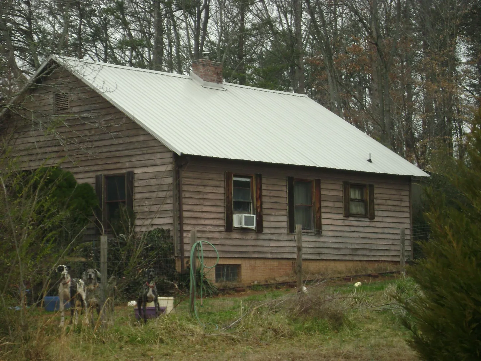 White metal roof on an old wood sided farmhouse, from a Asphalt Shingle Roof Repair job in Deep Gap